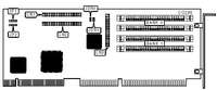 BUSLOGIC INC.   BT-410A