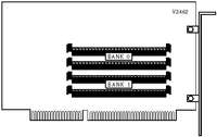 ACCULOGIC, INC.   RAMPAT!, RAMPAT!-PLUS