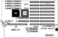 AUSTIN COMPUTER SYSTEMS   486 VESA LB WINTOWER