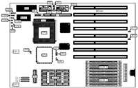 AORTA SYSTEMS CORPORATION   VL/EISA-486SV1