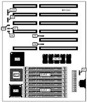 AMPTRON INTERNATIONAL, INC.   DLC/DX-5800B