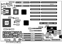 AMERICAN PREDATOR CORPORATION   PREDATOR I PLUS