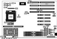 ASICOM, INC.   LEXAR600T