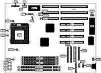 ACER, INC.   AP5T