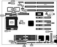 ACER, INC.   V55