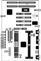 DIAMOND FLOWER, INC.   P2XLX/E (REV. A+)