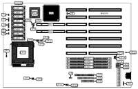 ALARIS   COUGAR 486BL