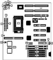 MICRONICS COMPUTERS, INC.   STINGRAY