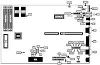 XINETRON, INC.   XINET XI-286/LS2121