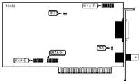 DANPEX CORPORATION   EW-1000