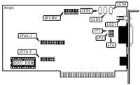 DANPEX CORPORATION   EN-1010BT