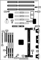 DIAMOND FLOWER, INC. P2XBL/E (REV.A+)