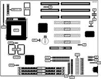 DIAMOND FLOWER, INC. P5BV3+ (REV.C+)